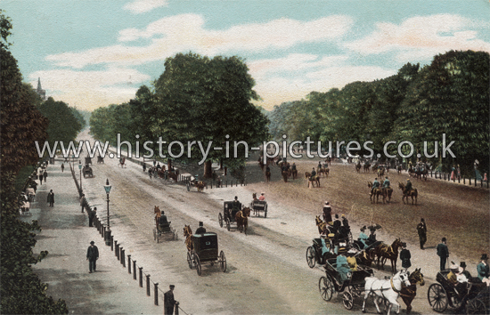 Rotten Row, Hyde Park, London, c.1903.